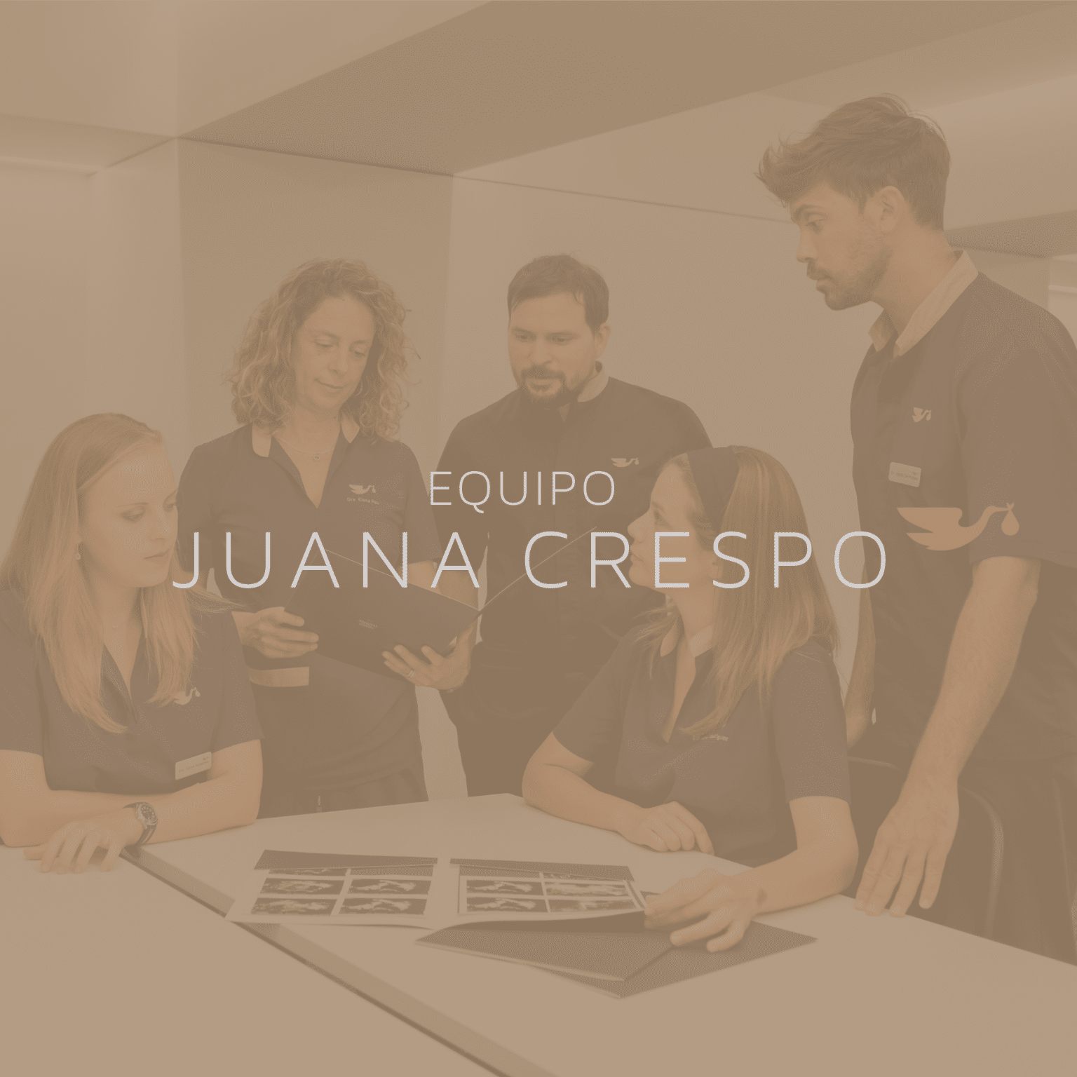 Juana Crespo apuesta por V3rtice