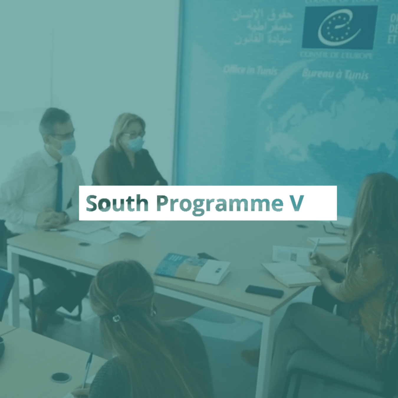 Organización integral del South Programme V