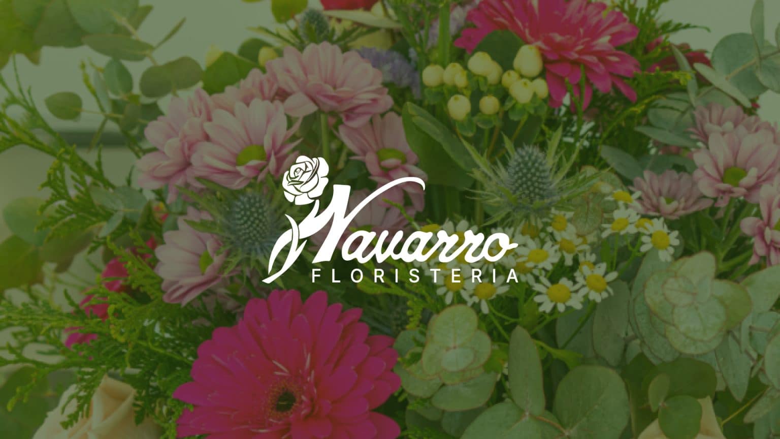 Logo Flores Navarro