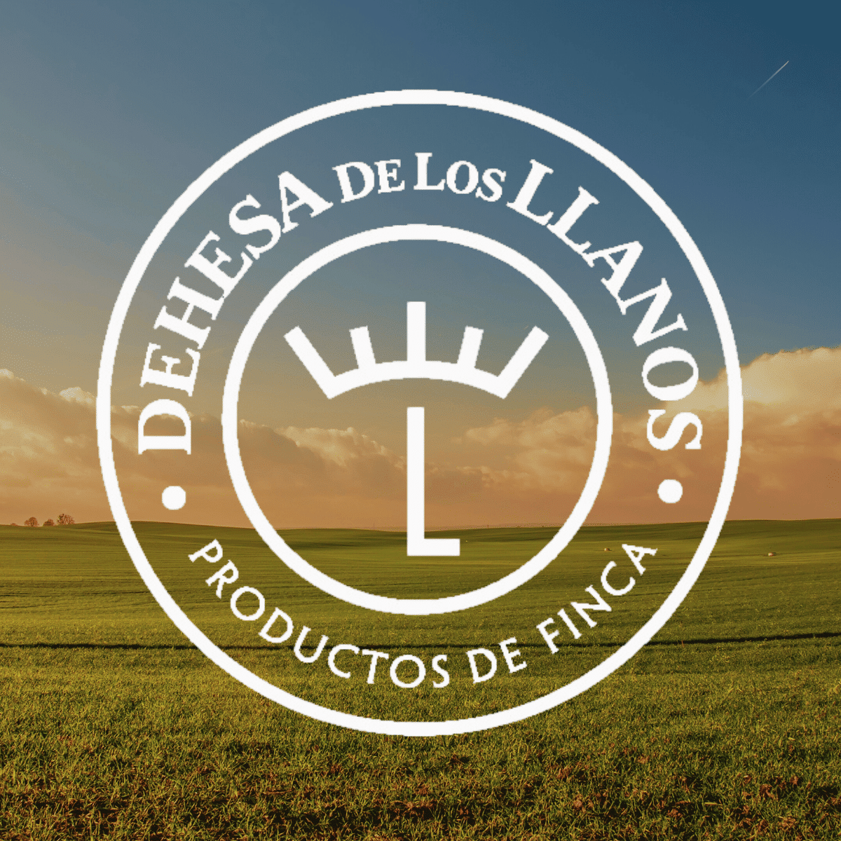 Logo corporativo de La Dehesa de los Llanos