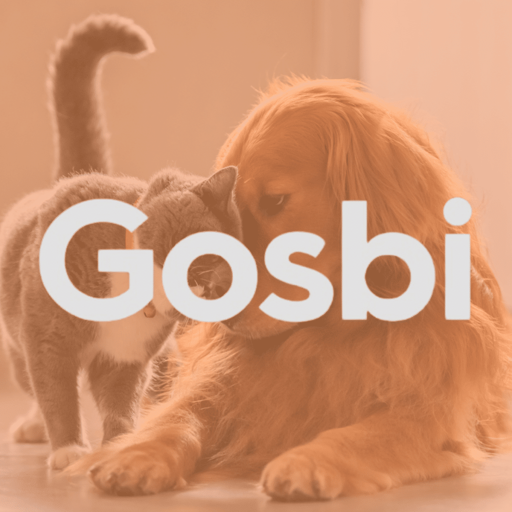 Logo corporativo de Gosbi