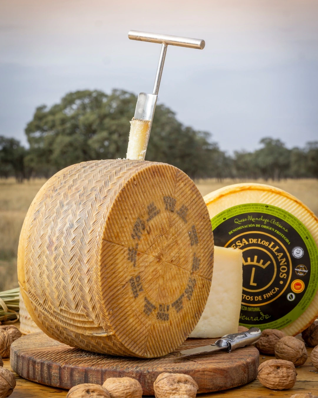 Queso de la Dehesa Dos quesos enteros que incorporan la etiqueta de la marca La Dehesa de los Llanos para su estrategia de marketing digital.
